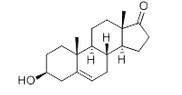 DHEA