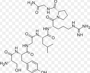 Luteinizing hormone