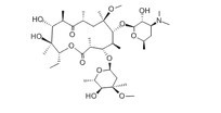Clarithromycin