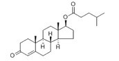 Testosterone Isocaproate
