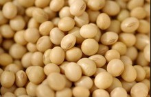 hydrolyzed soy protein