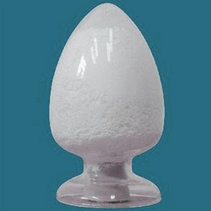 collagen protein