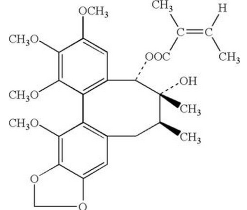 Kollidon CL