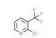 Terrequinone A