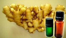Ginger oil