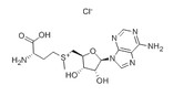 S-(5-Adenosyl)-L-methionine chloride
