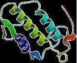 phospholipase A2