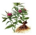 Rhizoma atractylodis essential oil