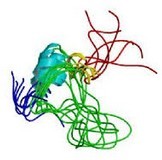 IGF(insulin-like growth factor)