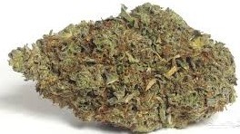 OG Kush