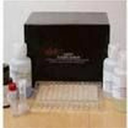 Guinea pig interleukin 4,IL-4 ELISA Kit