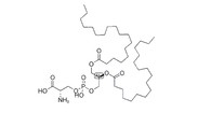 Phosphatidylserine