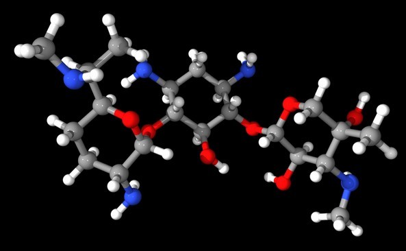 Gentamycin