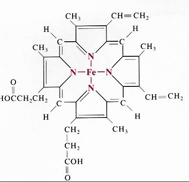 Hemoglobin