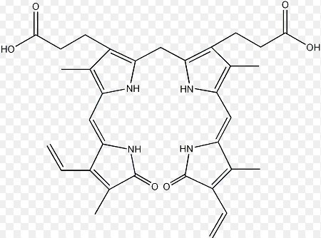 BILIRUBIN