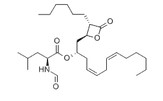 Lipstatin