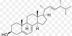 Ergosterol