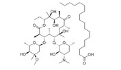 Erythromycin stearate