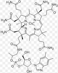 Mecobalamin