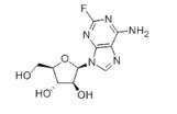 fludarabine