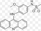amsacrine