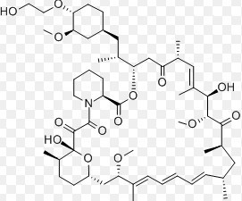 Everolimus