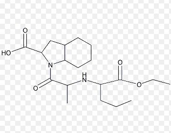 Perindopril arginine