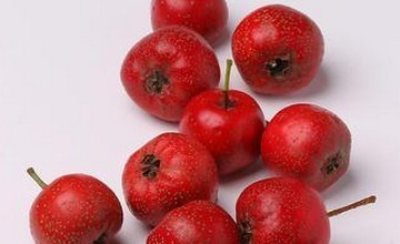 Hawthorn Fruit P.E.