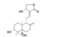 Andrographolide