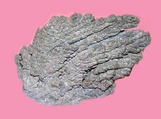 Magnesium
