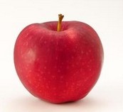Apple Polyphenols
