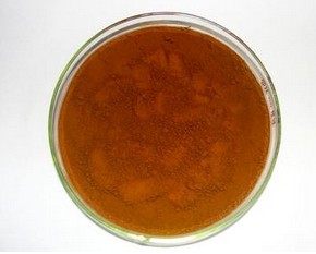 Pygeum africanum extract