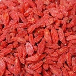 wolfberry extract 