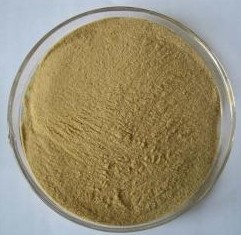 Wild Yam Extract
