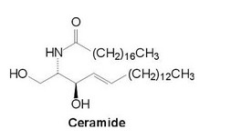 ceramide