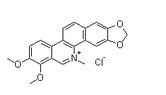 Chelerythrine