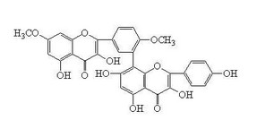 Ginkgo Biloba extract