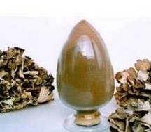 Maitake Mushroom extract