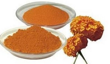 Marigold extract