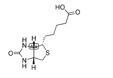 Vitamin B6