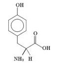 L-Tyrosine