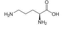 Ornithine