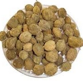 Fructus Amomi Extract