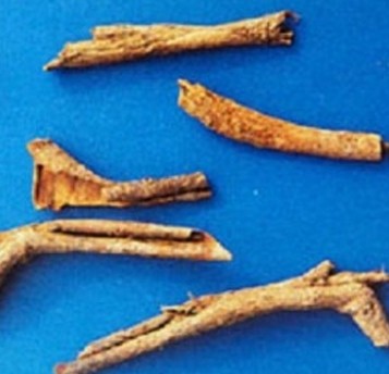 Chinese Wolfberry Root-Bark Extract