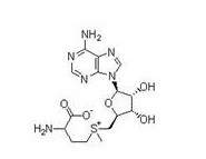S-Adenosyl-L-methionine(SAMe)