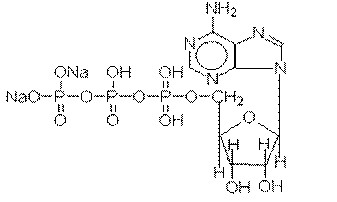 ADENOSINE DISODIUM TRIPHOSPHATE