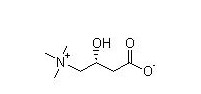 L-Carnitine