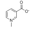 Trigonelline