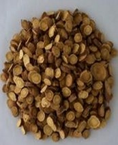 Astragalus polysaccharide