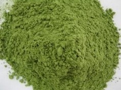 Barley grass